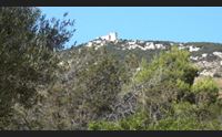 golfo aranci per capo figari e monte ruiu futuro da area protetta