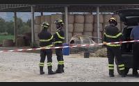 arborea tragedia in un azienda zootecnica muore allevatore