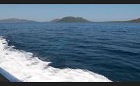 asinara la tassa di sbarco per promuovere il turismo di prossimit