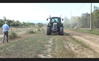 arborea sementi foraggere per la sardegna una nuova filiera produttiva
