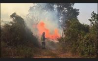 da nord a sud incendiari scatenati la sardegna continua a bruciare