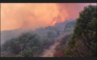 forestali in sciopero il 7 agosto giunta non ci ascolta subito i concorsi