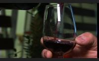 i migliori vini dell isola per celebrare i 150 anni di grazia deledda