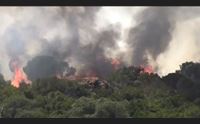 orgosolo proposta contro il fuoco servizio civile nella forestale