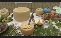 tertenia l arte del formaggio per combattere la crisi del latte