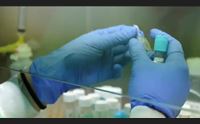 covid 19 un nuovo contagio a carloforte i positivi al virus sono 21