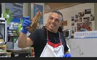alghero aragosta boom di richieste pescatori in affanno