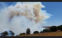 conferma a mandas incendio doloso la regione non sarete soli