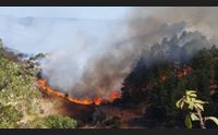 lotta agli incendi la regione punta lezioni di educazione ambientale