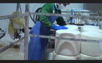 pecorino romano dop lascia palitta il consorzio si occupi di tutta la filiera