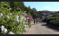 porto rotondo operaio 62enne muore folgorato in una villa