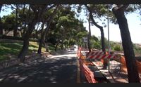 cagliari sostituiti gli alberi pericolanti truzzu nessun abbattimento ma un recupero