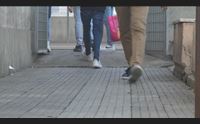 ressa in viaggio il sindaco di villasor convogli inadeguati