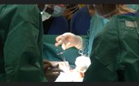 covid e cancro tanti punti in comune lo studio di macci all oms