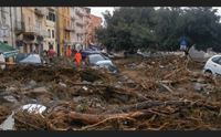 bitti l assessore dell ambiente un disastro paese irriconoscibile