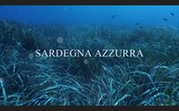 sardegna azzurra domani alle 14 30 su videolina il golfo di cagliari