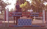 equitazione