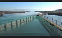 arborea i danni dell alluvione compromessa la stagione di pesca