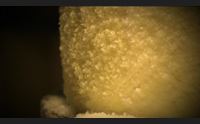 nuovi mercati e nuovi prodotti la scommessa del pecorino romano