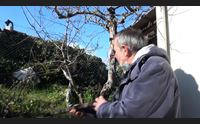 bonorva dopo le frane chiesto lo stato di calamit naturale