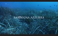 sardegna azzurra domani alle 14 30 su videolina vi porta a olbia e loiri porto san paolo