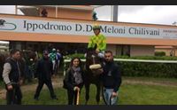 chilivani gli amici del fantino morto amava moltissimo i cavalli