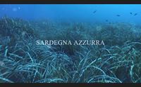 domani alle 14 30 sardegna azzurra cuglieri buggerru e capoterra