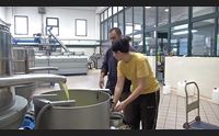 segnali di ripartenza crescono le nuove imprese al femminile
