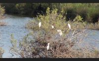 parco di tepilora il contratto di fiume per un nuovo sviluppo dopo la pandemia