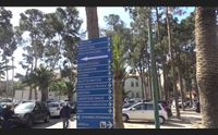 virus 308 vittime nel 2021 meno contagi ma di covid si continua a morire