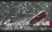 fra iglesias e carbonia tour nel triangolo delle quattro discariche