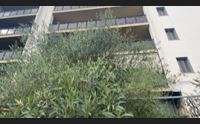 alghero vegetazione e incuria avvolgono l edificio della vergogna