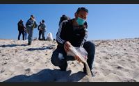 sardegna depredata torna a is arutas la sabbia sequestrata ai turisti
