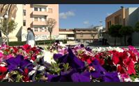 quartu piazza 28 aprile