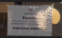forestas svolta regionale intesa anche sulla nuova legge ristori