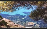golfo aranci un abbraccio ad ariel la sirenetta nuota a cala moresca