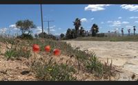 restyling del poetto di quartu via al progetto un parco lineare verde