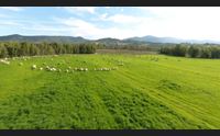 decreto ristori bis la soddisfazione del mondo agricolo
