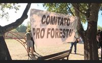 tortol una firma per il cantiere forestale difendiamoci dal fuoco