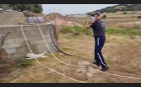 olbia stop al randagismo il comune avvia la mappatura dei cani