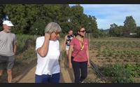 sulcis aziende alleate la nostra ripartenza col turismo esperenziale