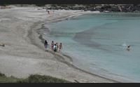 cabras nel sinis prove d estate fra pulizia delle spiagge e nodo bagnini