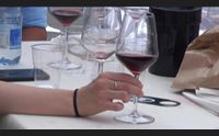 mamoiada boom del vino ora puntare sui mercati internazionali