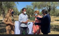 concorso turismo dell olio medaglia di bronzo per la sardegna