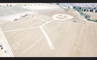 villaspeciosa disegni nei campi ma l extraterrestre l artista luigi serra