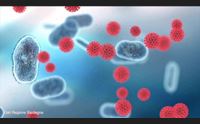i numeri del virus aspettando l autunno con l incognita variante delta