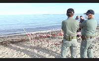 una caretta sceglie arborea per nidificare evento raro nell oristanese