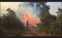 sardegna ancora nella bolla africana domenica di incendi nell isola
