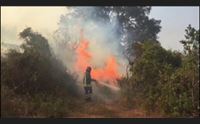 incendi in campo anche i vigili del fuoco per coordinamento rafforzato