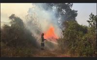 incendi in campo anche i vigili del fuoco per coordinamento rafforzato
